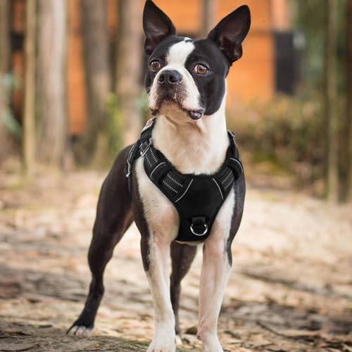 Dog Harness Small Sized (Black / Small)