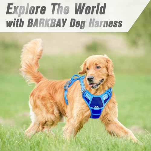 Dog Harness No Pull for Large Dogs Front Back Clips (Large(Chest:24.5-32.5") / Sapphire Blue & Blue)