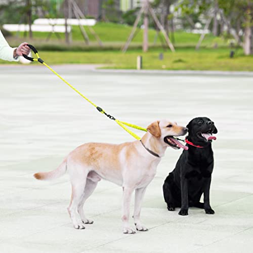 Double Dog Leash (Green / Large)