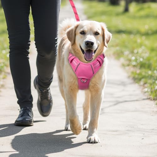 Dog Harness for Medium Sized Dog No Pull Dog Vest ID Tag Pocket (Pink / Medium)