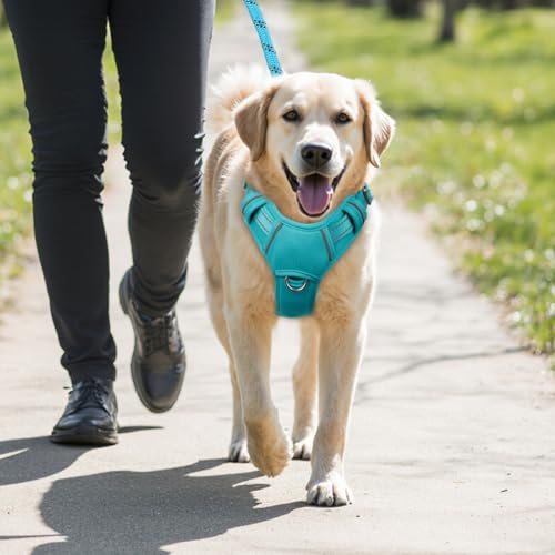 Dog Harness for Large Dogs No Pull Dog Vest ID Tag Pocket (Ocean Blue / X-Large)