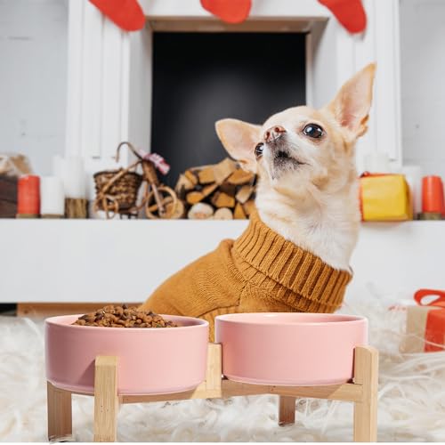Elevated Ceramic Dog Bowl (Pink / Small)