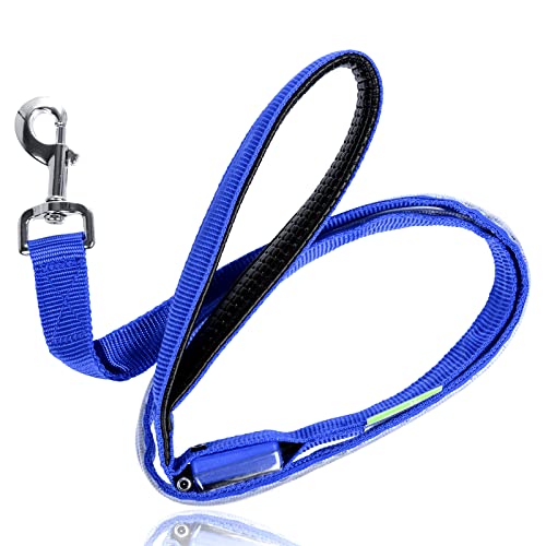 LED Light Up Dog Leash (6 Feet / Royal Blue)