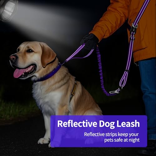 Hands Free Dog Leash by Kazazoo (PRUPLE Bungee / M)