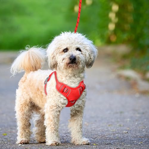 Dog Harness for Small Sized Dog No Pull Dog Vest ID Tag Pocket (Red / X-Small)