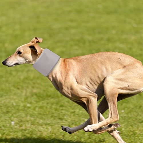 Dog Neck Brace for Pet After Surgery Recovery Adjustable Breathable Neck Cervical Cone (Gray / L)