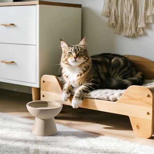 2 Pack Elevated Ceramic Cat Bowls Extra Wide for Food & Water (Pottery Clay)