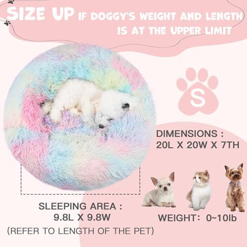 Covered Small Dog Bed with Blanket Attached Calming Burrow Multicolor (20.0"L x 20.0"W x 7.0"Th / Multicolored)