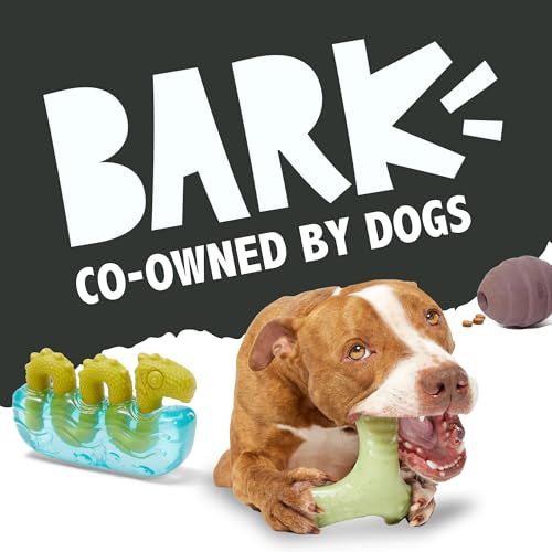 Drac Casket Dog Toy (Medium / Drac Casket)