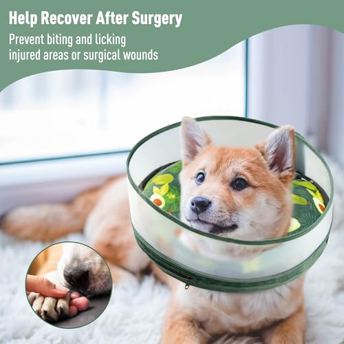 Inflatable Dog Cone (XL / Avocado)