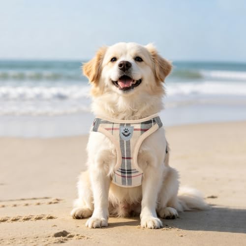 Dog Harness Collar and Leash Set No Pull for Small Medium Sized (Beige / XXL (CHEST 22"-24.5"))