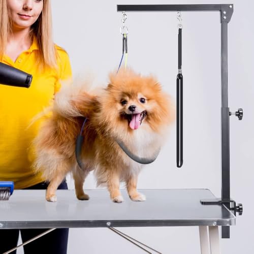 Dog Grooming Arm with Clamp