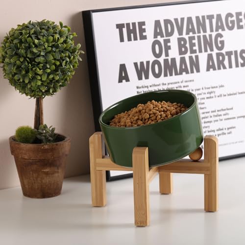 Elevated Raised 15°Slanted Ceramic Dog Bowl for Small and Medium Breeds (Rust Green / 3.6 CUPS - Medium Dog Bowls)