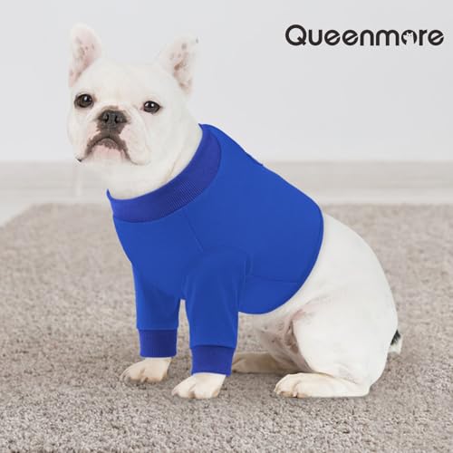 Large Recovery Suit for Dogs (XX-Large / Blue)