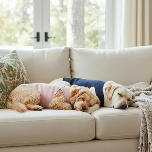 Dog & Cat Surgery Recovery Suit and Anxiety Wrap (L / Pink)