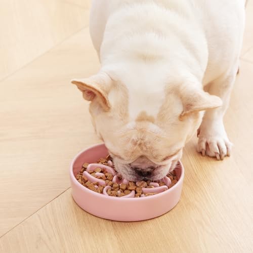 Ceramic Slow Feeder Dog Bowls (S-0.6 Cups / Pink)