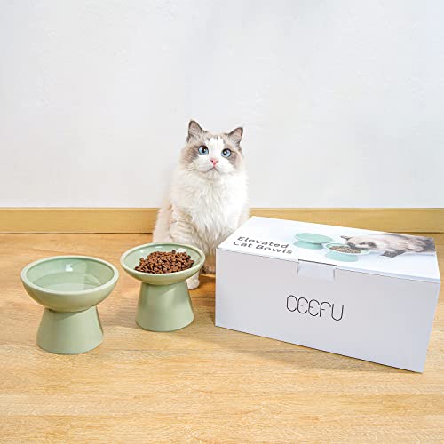 2 Pack Elevated Ceramic Cat Bowls Extra Wide for Food & Water (Sage Green)