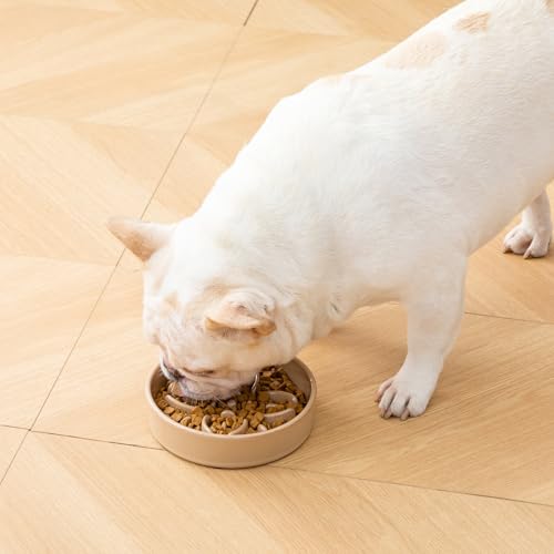 Ceramic Slow Feeder Dog Bowls (S-0.6 Cups / Brown)