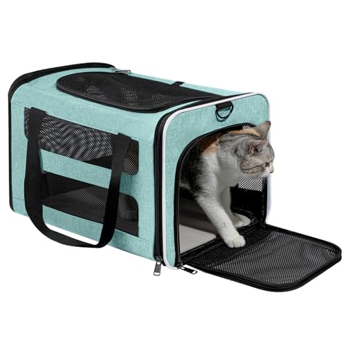 Cat Carrier Soft (Teal / 18.5"L x 11.8"W x 11.8"H)