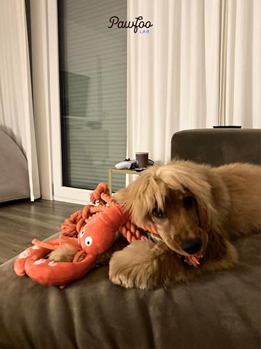 Large Squeaky Dog Toys (Regular Lobster)