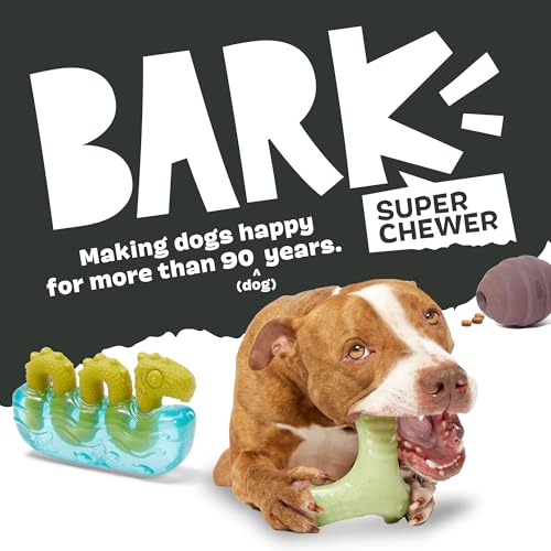 Pumpkin Prodigy Dog Toy (Medium / Pumpkin Prodigy)