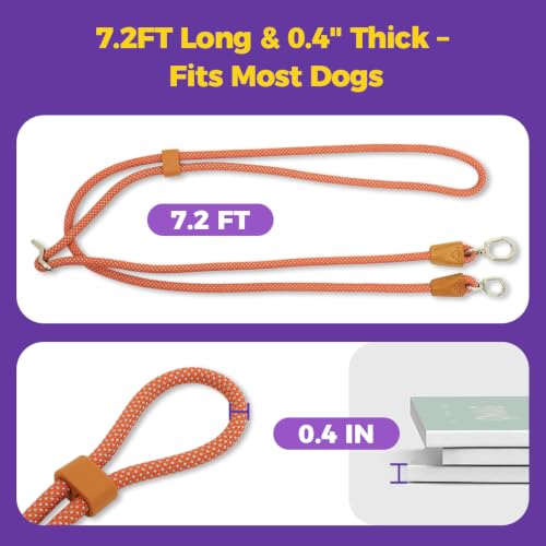 Hands Free Double Dog Leash 2 (Orange)