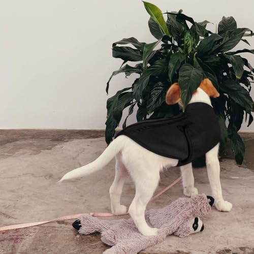 Small Dog Sweater (Black / X-Small)