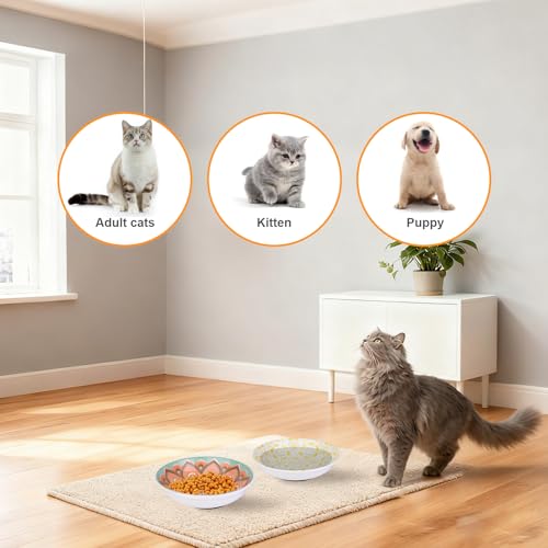Ceramic Cat Food Bowls (Bohemian Colors)