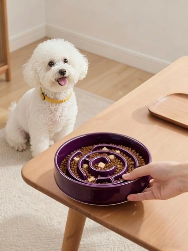 Ceramic Slow Feeder Dog Bowl (Purple)