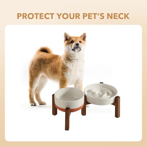 Raised Slow Feeder Dog Bowls (2 x Vanilla White + Stand - A / M- 7.3inch / 1.2 Cups)