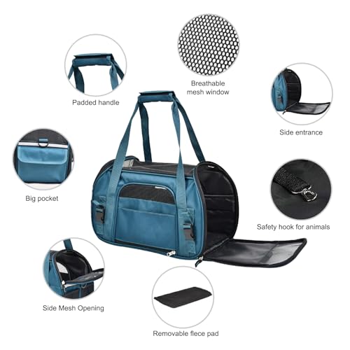 Soft Sided Airline (19.0"L x 10.0"W x 13.0"H / Teal Blue)