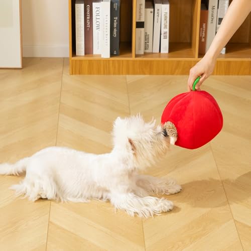 Squeaky Hide and Seek Dog Toys for Small and Medium Dogs (Hedgehog)