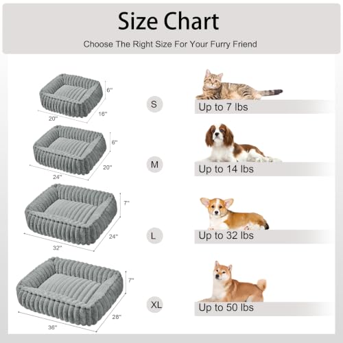 Medium Dog Bed Calming Cat Bed for Indoor Cats 24’’x20’’SageGrey (Sage Grey / 24"L x 20"W x 6"Th)