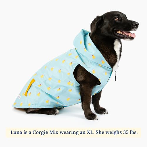 Lucky Ducky Reversible Raincoat for Dogs & Pets (Large)