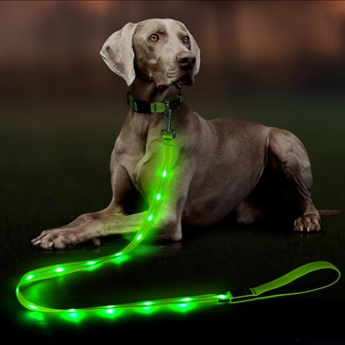 Light Up Dog Leash (Green)
