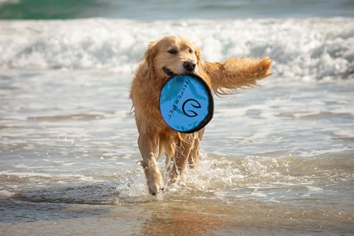 Flippy Flopper Flying Disc Soft Dog Toy 9 Inch (9" Pack of 5)