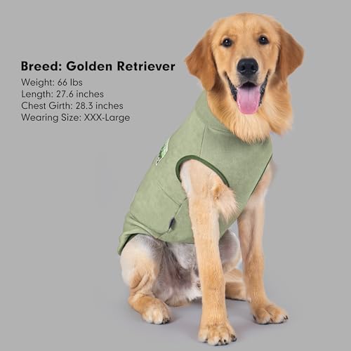 Fleece Dog Sweater (Small / Green)