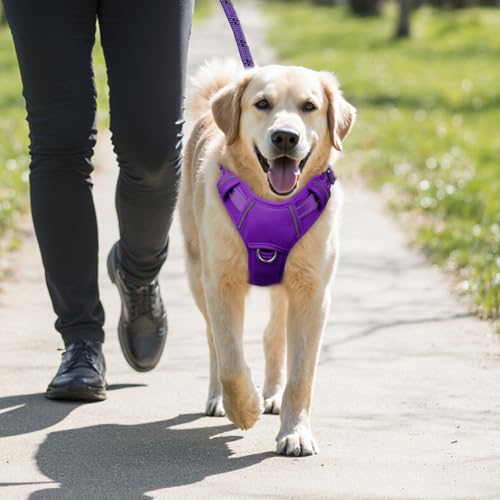 Dog Harness for Large Dogs No Pull Dog Vest ID Tag Pocket (Purple / X-Large)