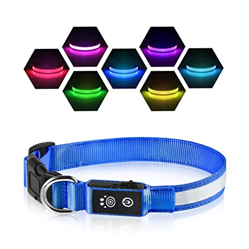 Light up Dog Collar (Blue / L(19 inch-23.6 inch))
