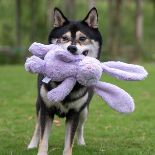 Bunny Buddy Squeaky Plush Dog Toy (Bunny (Purple) / Small)