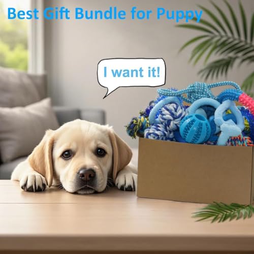 20 Pack Puppy Chew Toys (Multicolour20)