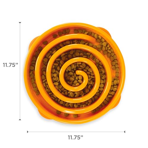 Fun Feeder Slo Bowl (Orange / Large)