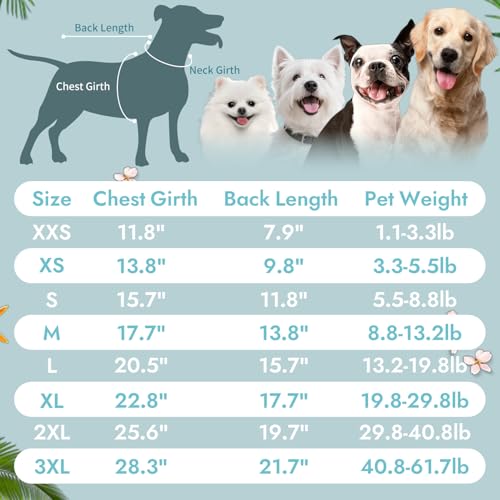 2Pack Dog Shirts Lightweight Waffle Dog Shirt for Small Dogs Sleeveless Dog Shirt for Small Medium Boy Girl Dogs Cozy & Breathable Pet Vest (XS(Back: 9.8", Chest: 13.8", 3.3-5.5lbs) / Light Green+Light Grey+Iron Blue)