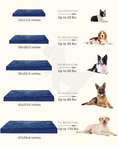 Orthopedic Dog Bed for Large Dogs with Waterproof Lining (Blue / 35.0"L x 22.0"W x 3.0"Th)