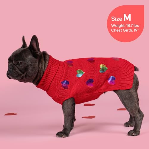 Valentines Dog Sweater (X-Large (19-27lbs) / Heart (Red))