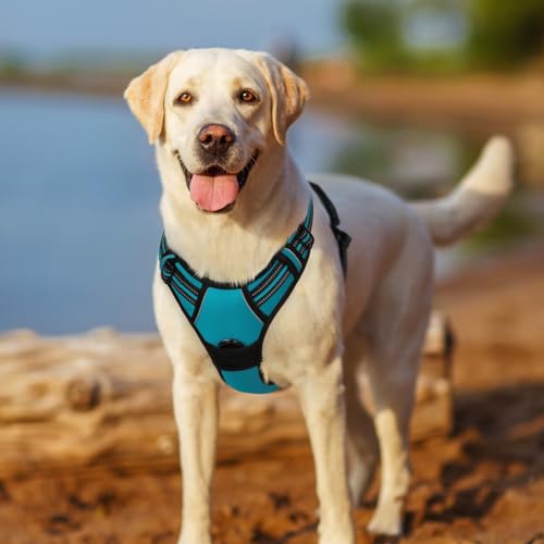 Dog Harness No Pull for Large Dogs with 2 Leash Clips (X-Large / Teal)