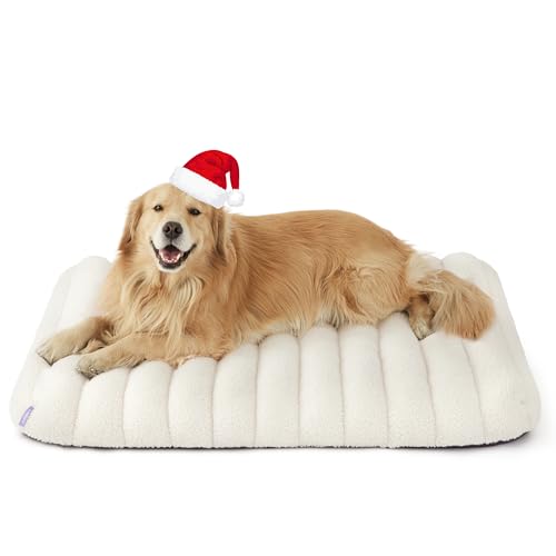 Cute Orthopedic Dog Bed for Extra Large Dogs (44"L x 32"W x 4"Th / Cream)