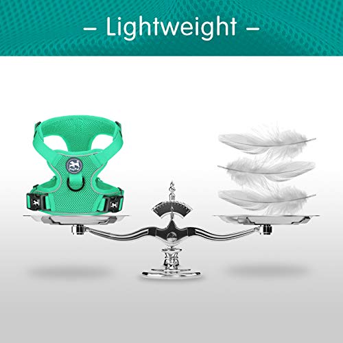 Mesh Dog Harness (M / Mint Green)