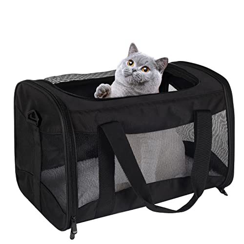 Cat Carrying Case (black / 15.0"L x 10.0"W x 10.0"H)