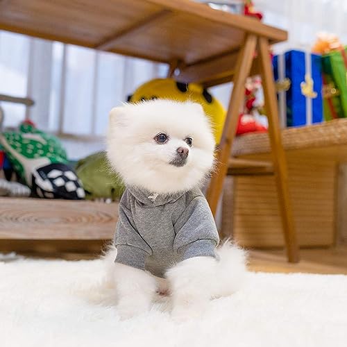 Basic Dog Hoodie (Grey / Medium)